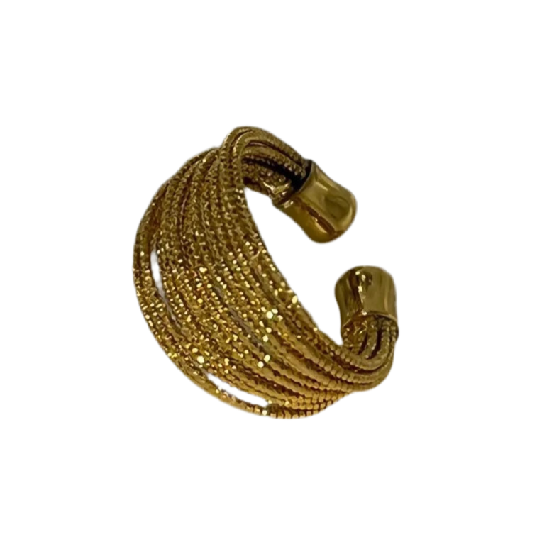 Erdoni Ring